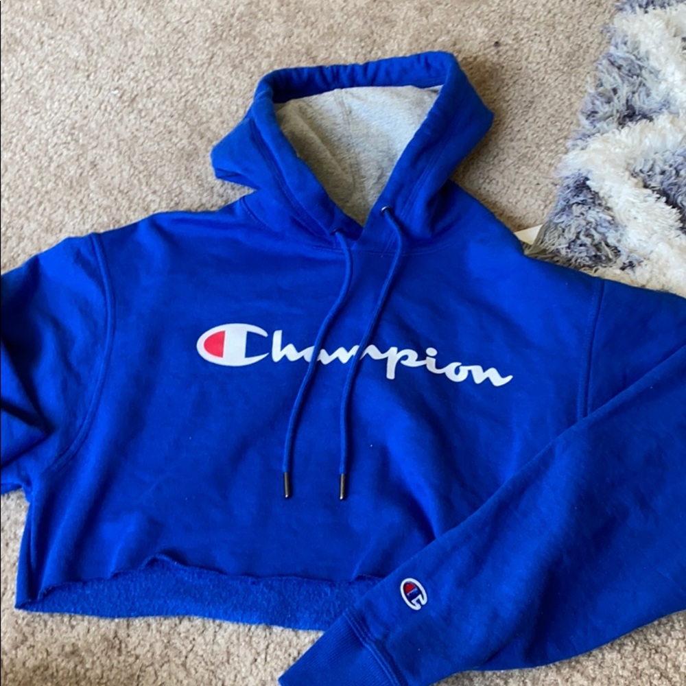 Champion cropped hoodie
